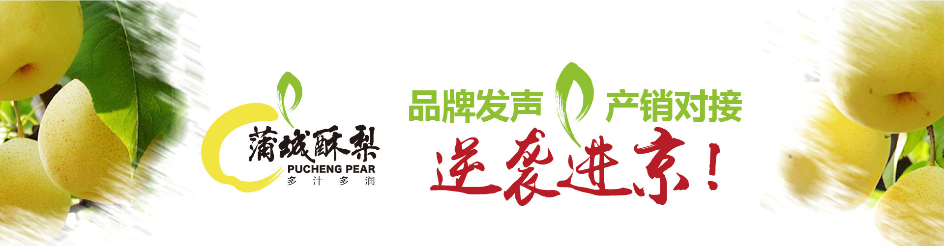 戰(zhàn)略賦能區(qū)域公用品牌，點(diǎn)亮區(qū)域經(jīng)濟(jì)