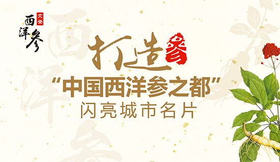 文登西洋參產(chǎn)業(yè)：打造“中國西洋參之都”閃亮城市名片！