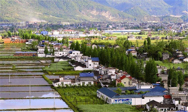 1553759707908706.jpg 775723ad-af57-469a-aa4f-57d727ab1f43.jpg