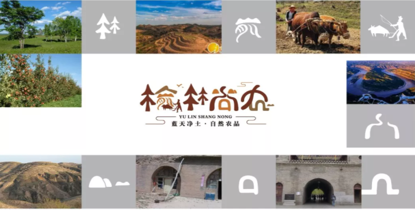 1638426047504346.png image.png